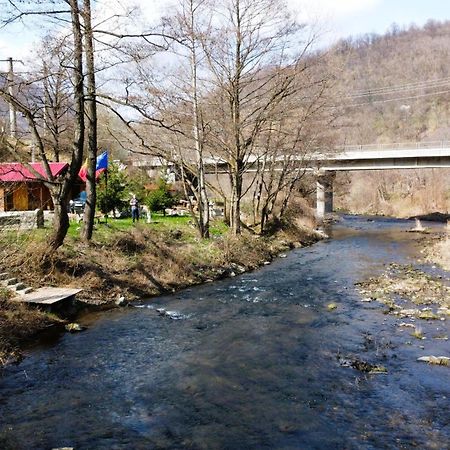 Eden Natural Resort - Transalpina Capalna Εξωτερικό φωτογραφία