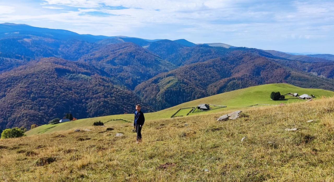 Eden Natural Resort - Transalpina Capalna Εξωτερικό φωτογραφία