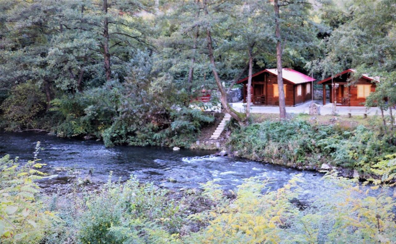 Eden Natural Resort - Transalpina Capalna Εξωτερικό φωτογραφία