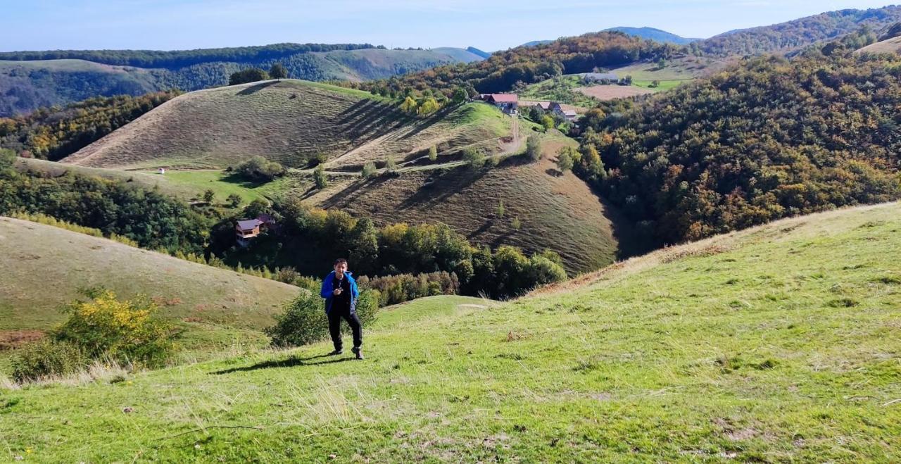 Eden Natural Resort - Transalpina Capalna Εξωτερικό φωτογραφία